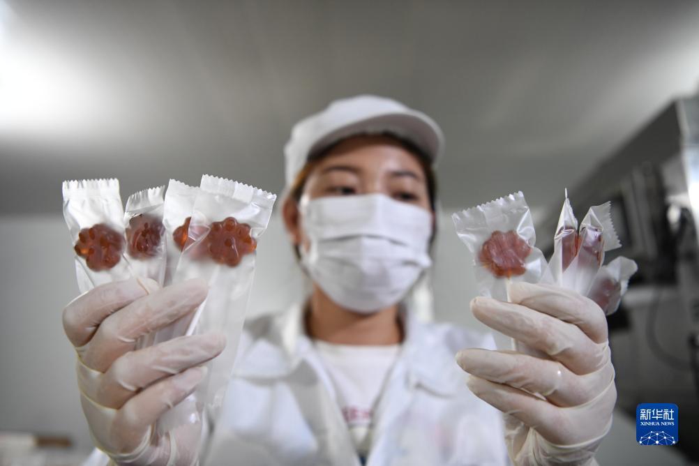 永利正网官网